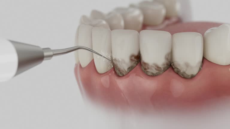 Reliable Dental contractor in Harrogate, TN by Dentist Open Now